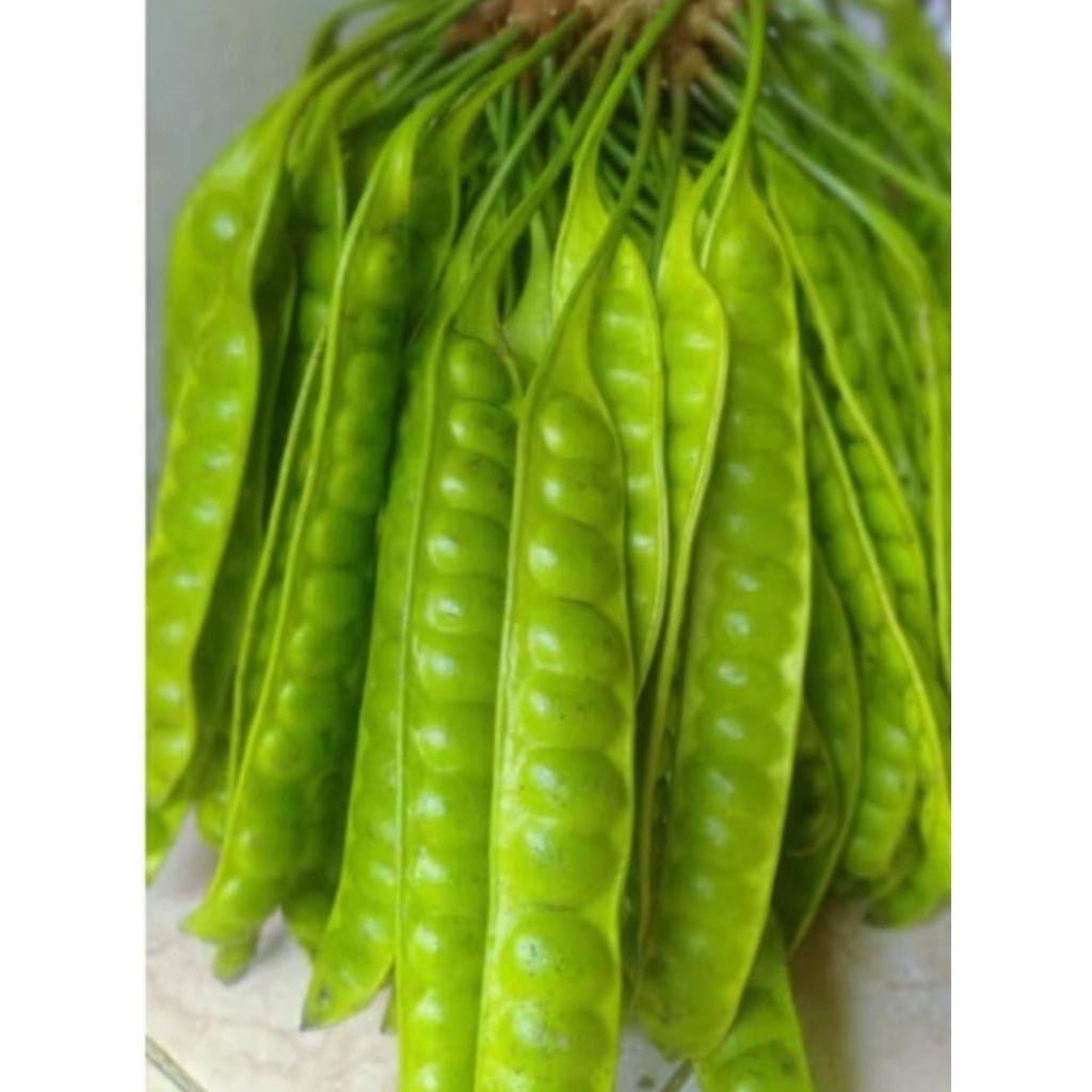 

pete 1 ikat isi 10 lonjor bppn