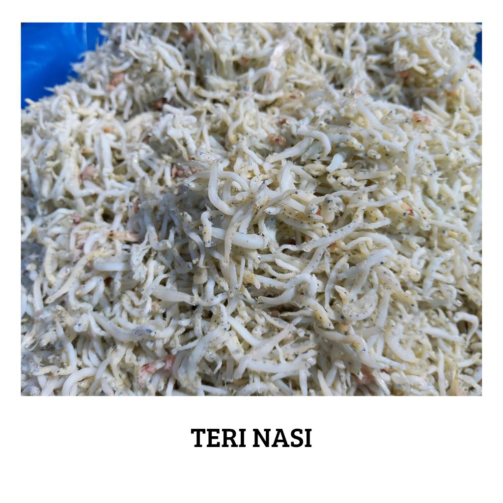 

Teri Nasi Medan