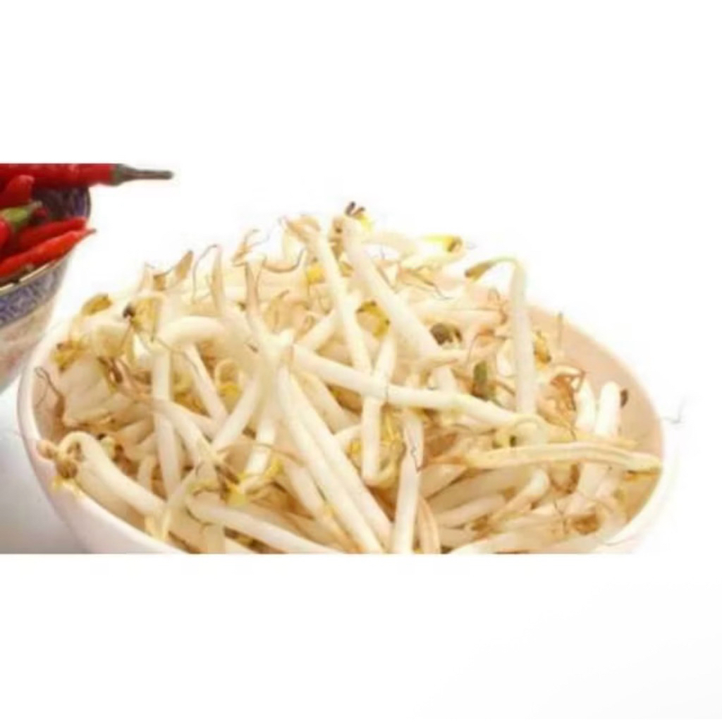 

Grosir Tauge Panjang Sayur Segar 100 gram Murah