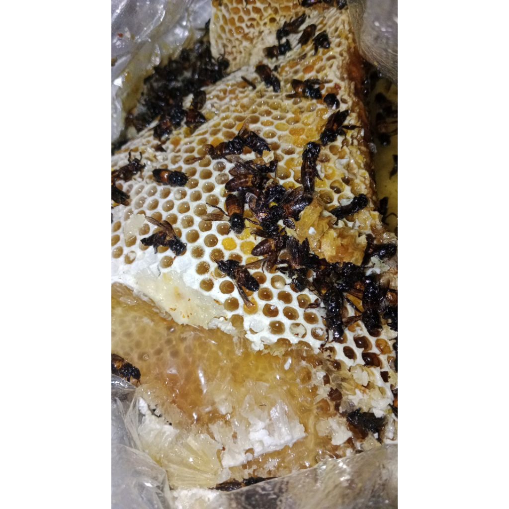 

MADU KUNING MANIS 1 BOTOL MARJAN/625GRAM