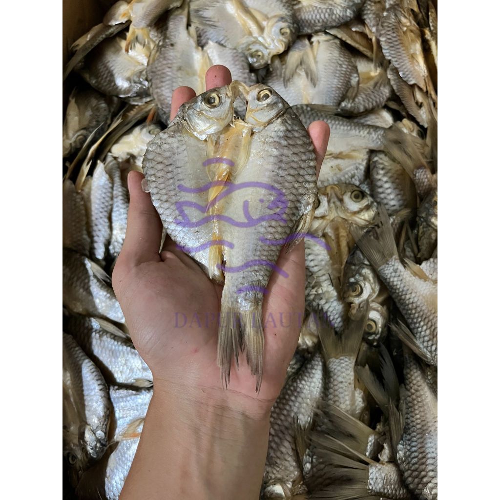 

Ikan Asin Tawes Belah Berat 250gr, 500gr, & 1000gr