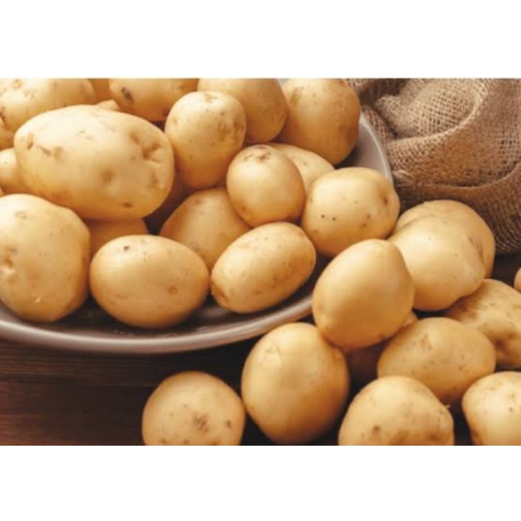 

Terlaris Kentang Geranola sedang kentang DN fresh