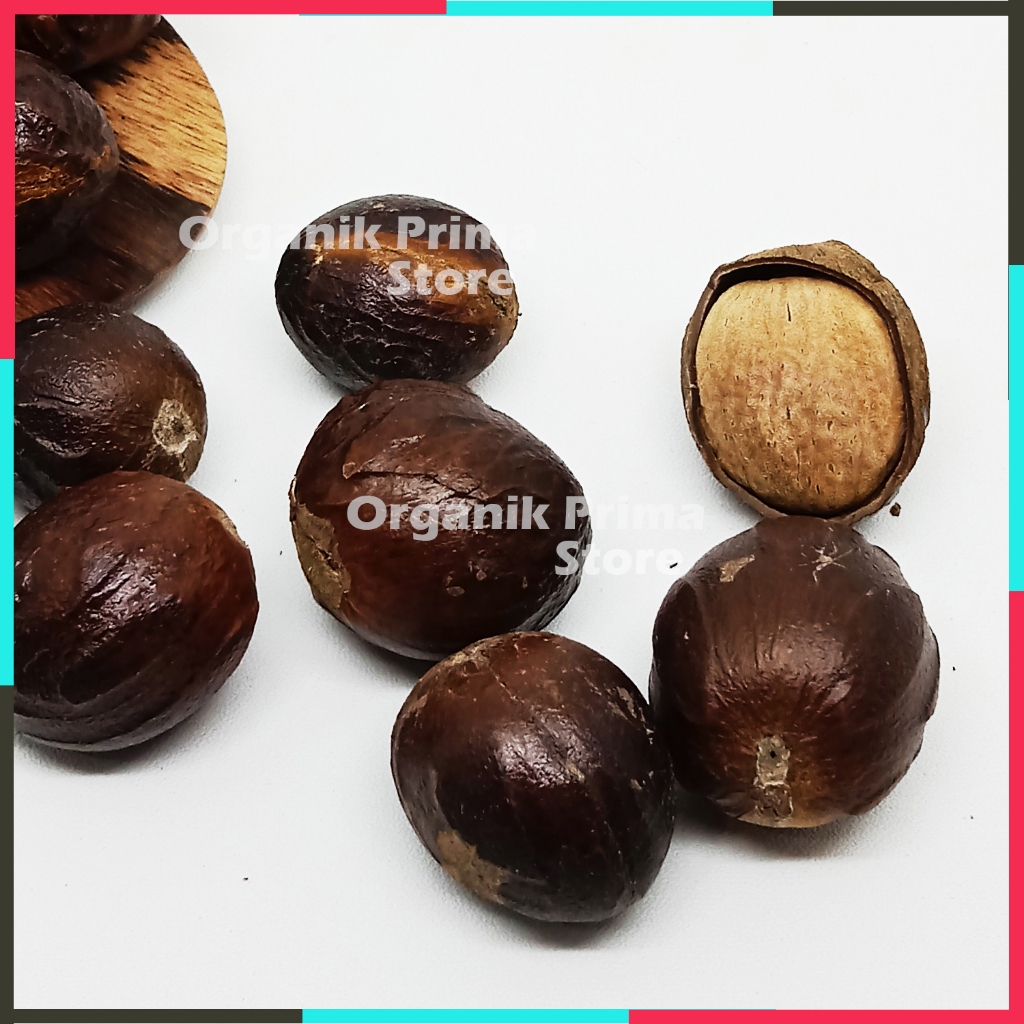 

Biji Pala Bulat Kering 100gr Asli Bersih dan Organik