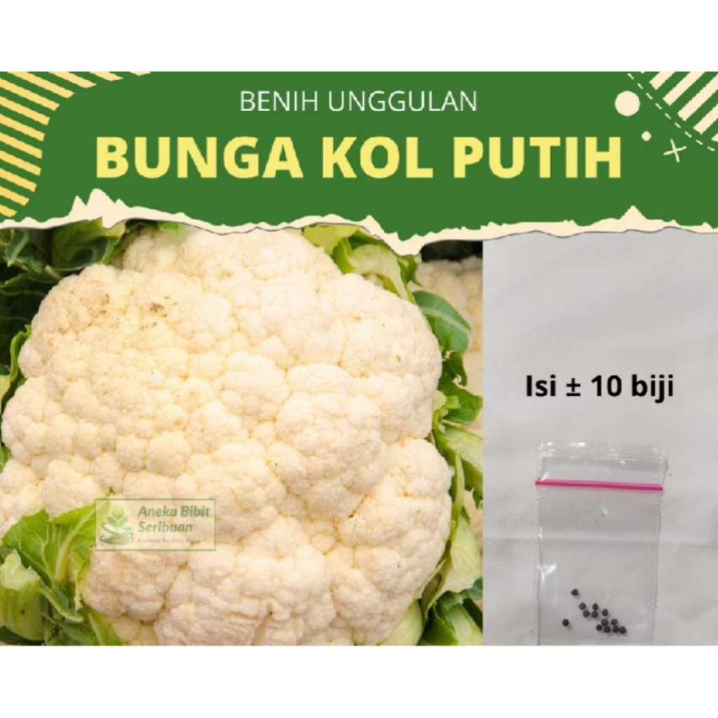 

Biji bibit kembang bunga kol putih sayuran dataran rendah diamond 40 benih tanaman sayur