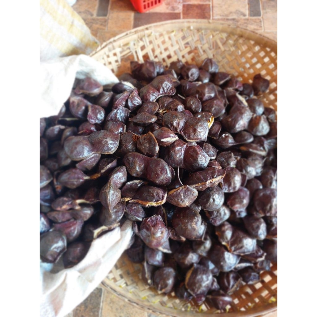 

jengkol muda belum dikupas super