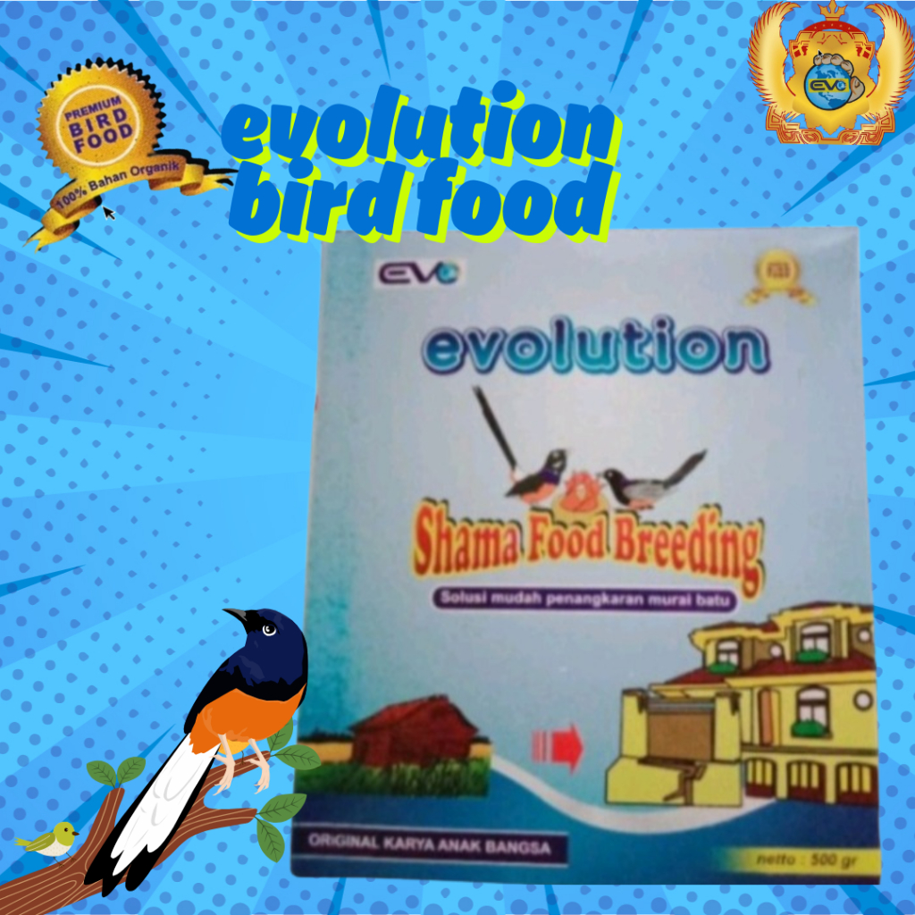 EVO BREEDING | MURAI BATU | EVOLUTION