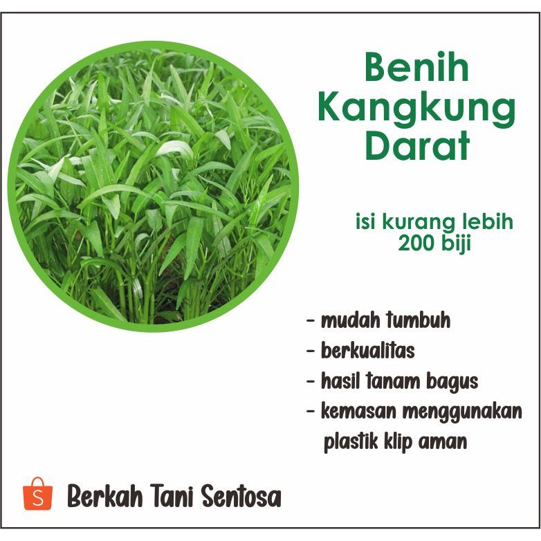 

Benih Kangkung Darat Super-Biji Kangkung Ready Stok Berkualitas