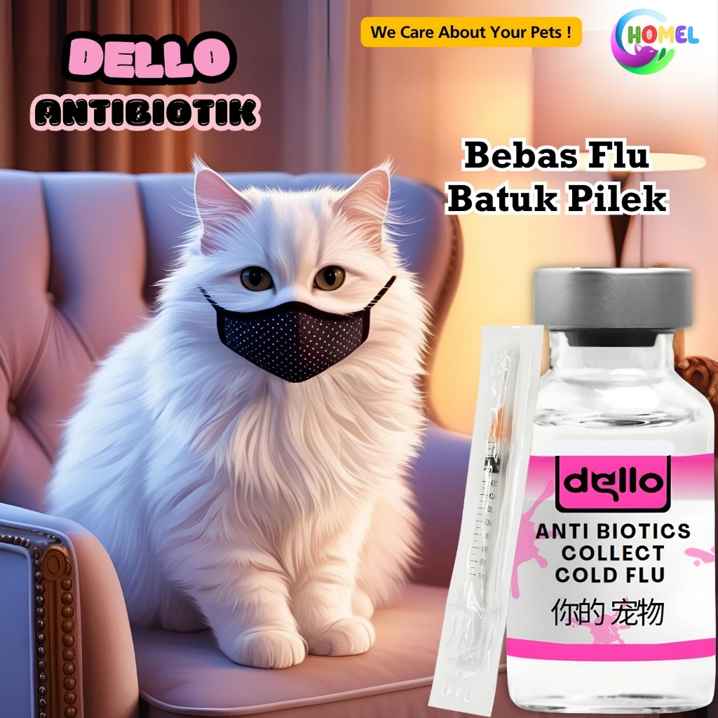Obat Flu Kucing Suntik Antibiotics 2ml Solusi Anabul Batuk & Bersin Chomel