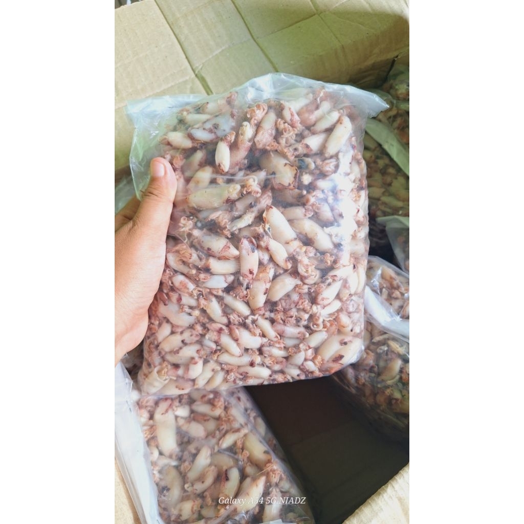 

baby cumi murah, campur2 size, terkelupas berkepala berat ¼ ½ 1 kg