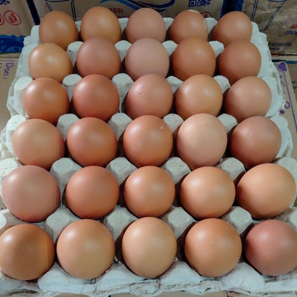 

Telur Ayam Ras Premium Tokota Bantaeng