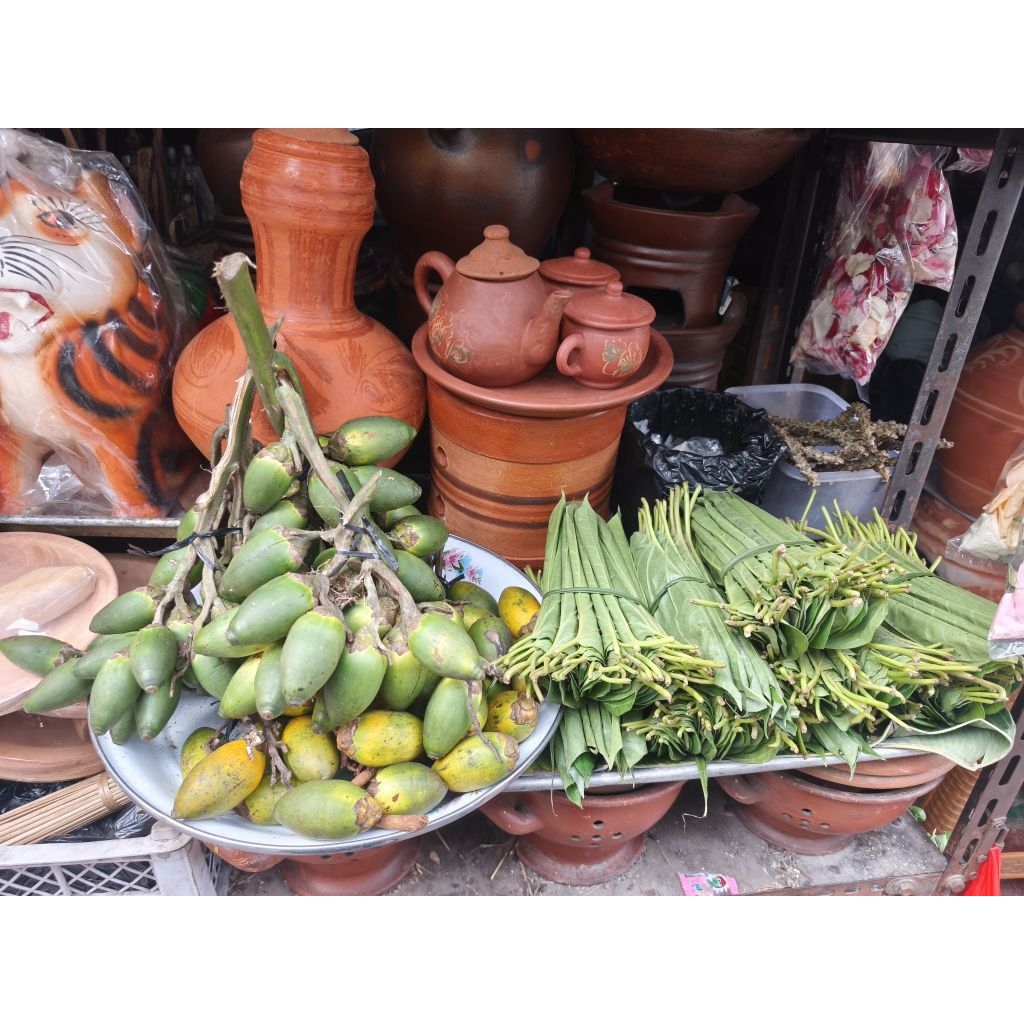 

Buah Pinang Fresh 1 Pack Isi 3