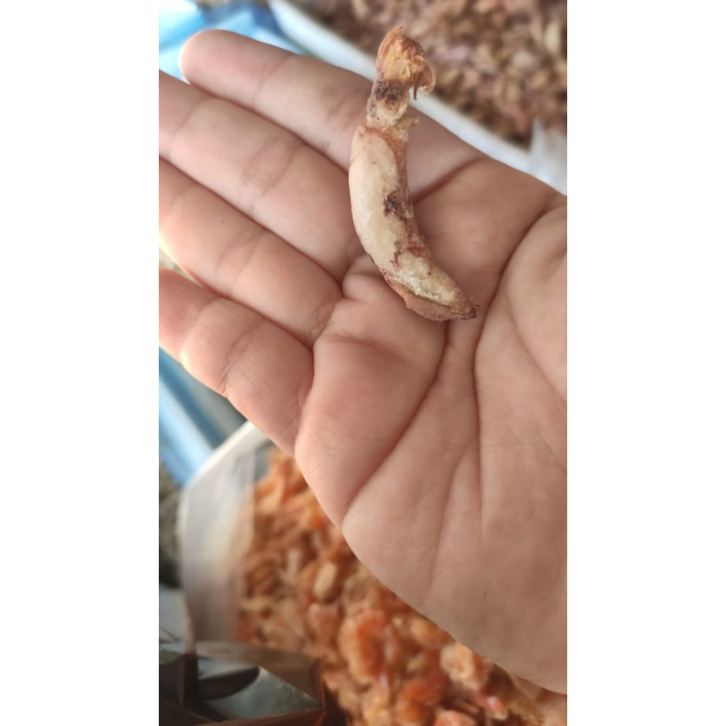 

baby cumi sotong kecil kering