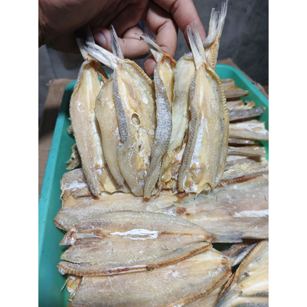 

grosir ikan asin, ikan asin kacang kacang, ikan bloso, ikan asin gabus laut, berat 1000gram
