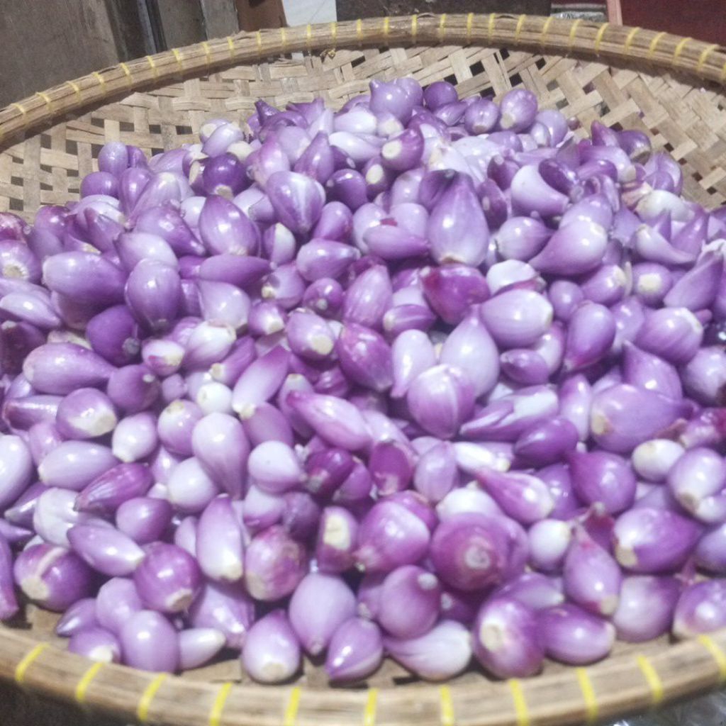 

bawang merah kupas 1kg