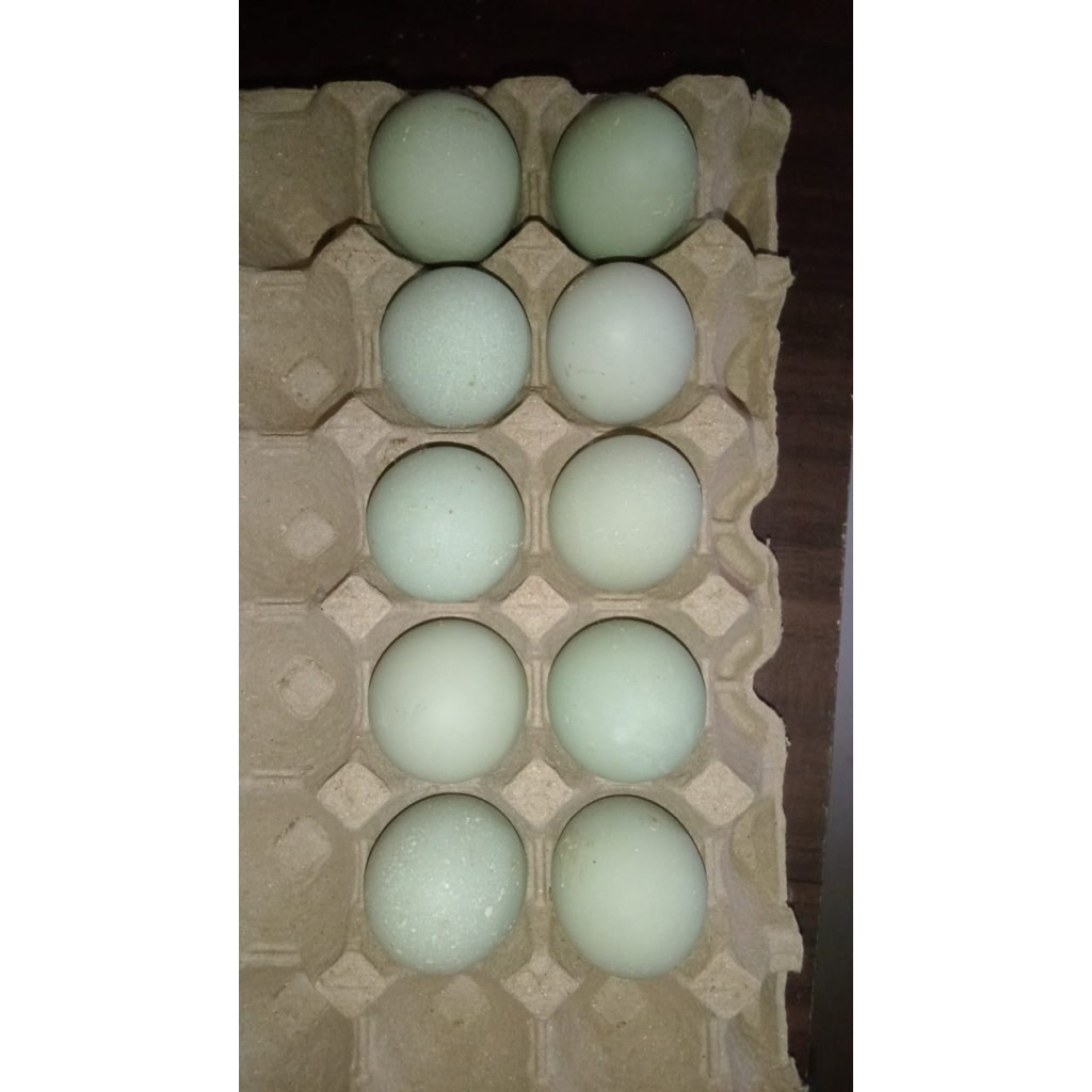 

PROMO Bundling Telur Bebek mentah 20pcs (Kecil)