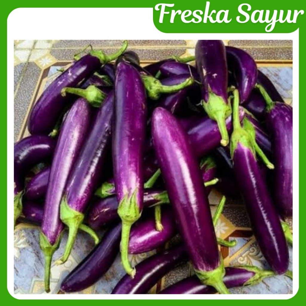 

PAKET GROSIR I Terong Ungu 2 kg I Terong Ungu