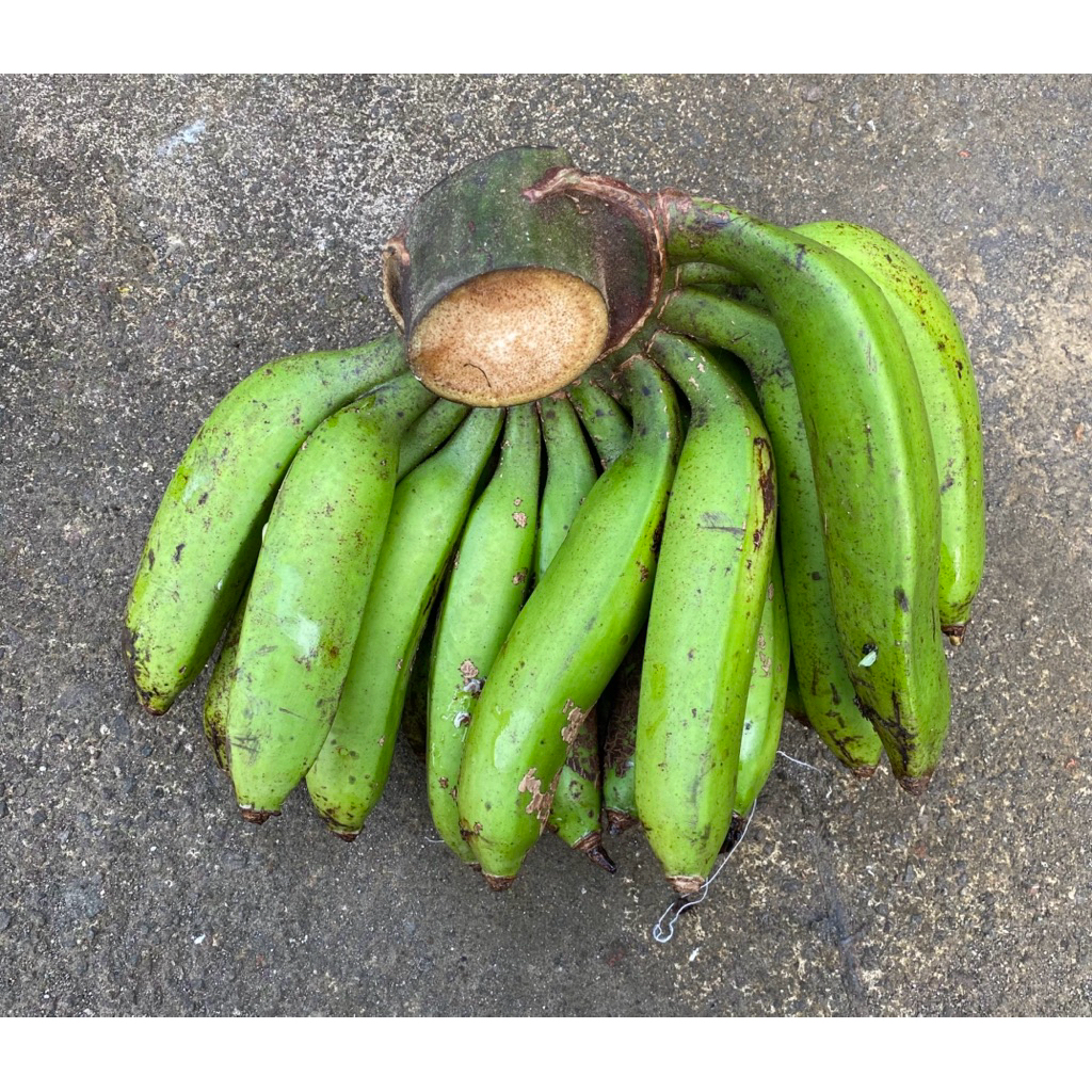 

Pisang bangka/raja uli fresh 1kg