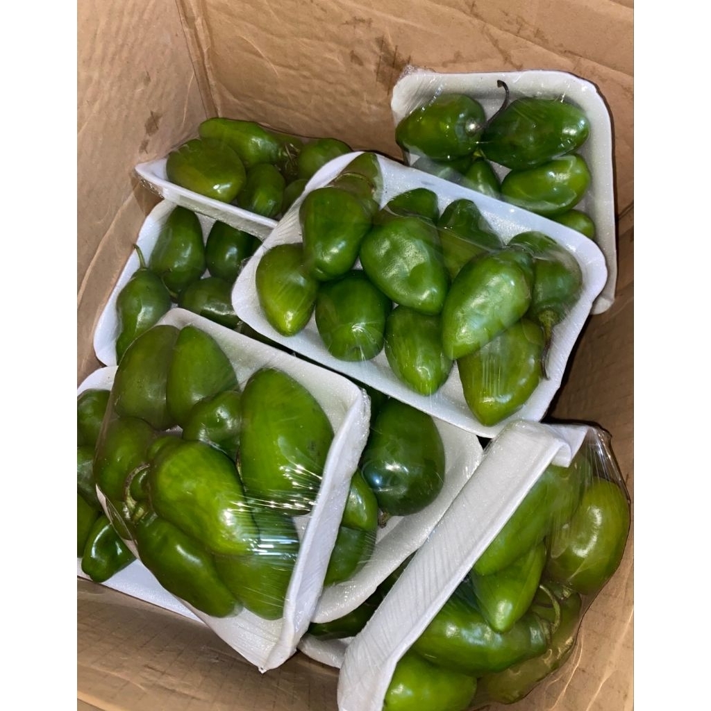 

cabe gendot / cabe bendot fresh