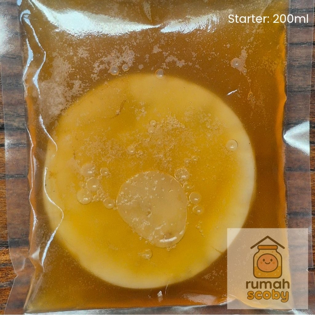 

Bibit Kombucha SCOBY Hidup