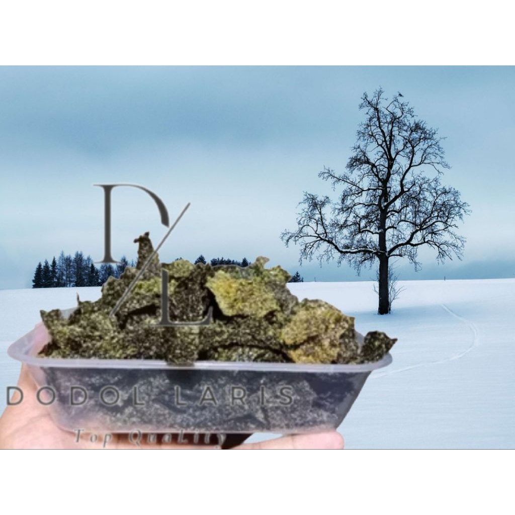 

RUMPUT LAUT PANGGANG UENNAK PUOOLLL / RUMPUT LAUT PREMIUM BOX 500ML PRODUK UMKM