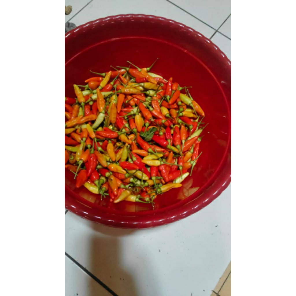

cabe rawit merah 1kg
