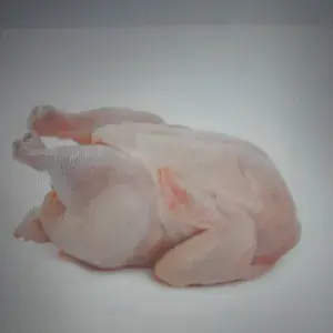 

Ayam 1 ekor potong 8 bagian