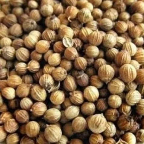 

INSTAN KOTA JAMBI Ketumbar Bulat