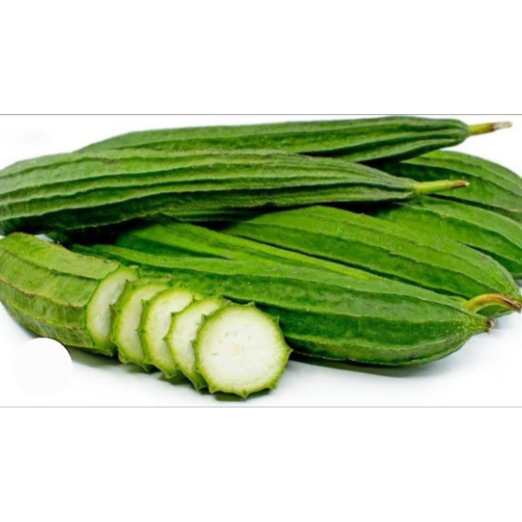 

GAMBAS OYONG SAYUR FRESH. INI BUAH.NYA, BUKAN BIBIT. HARGA 1KG