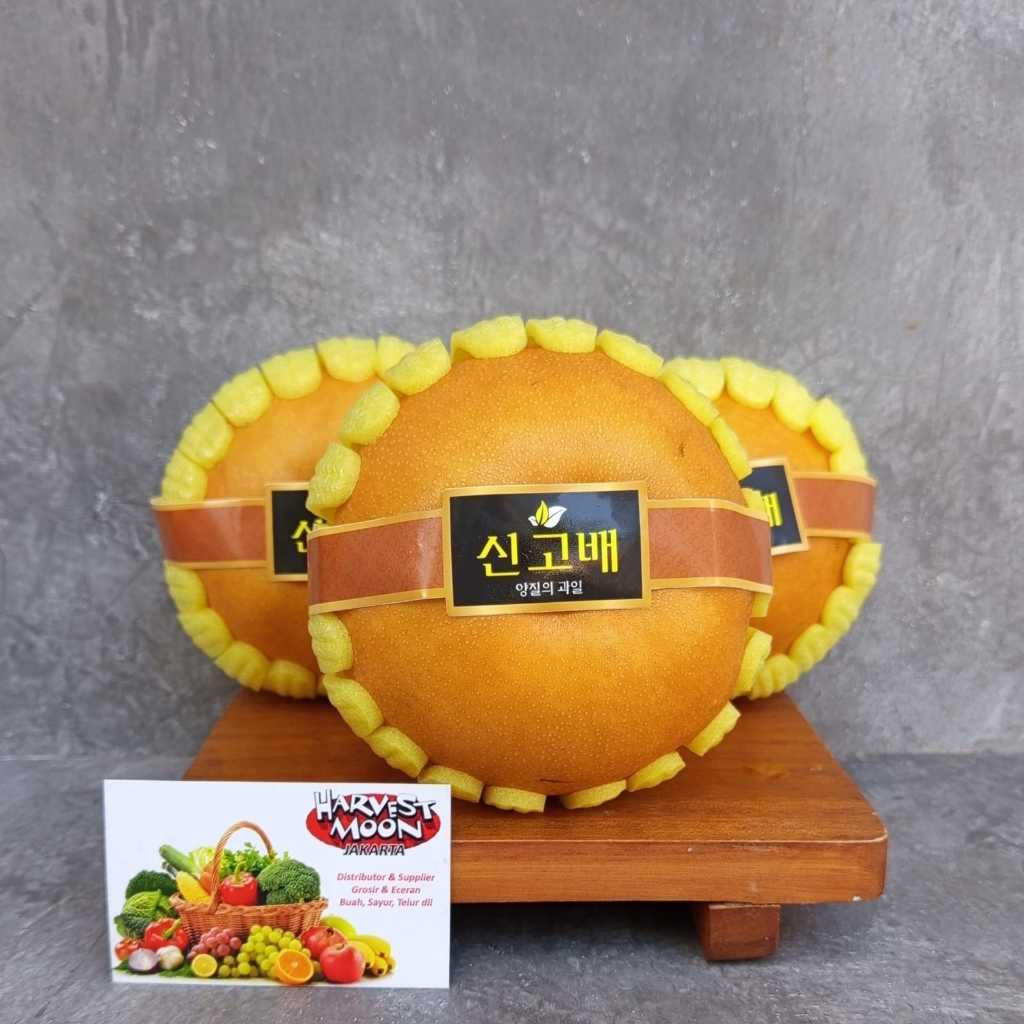 

HarvestMoon Pear Singo Korea Jumbo per dus