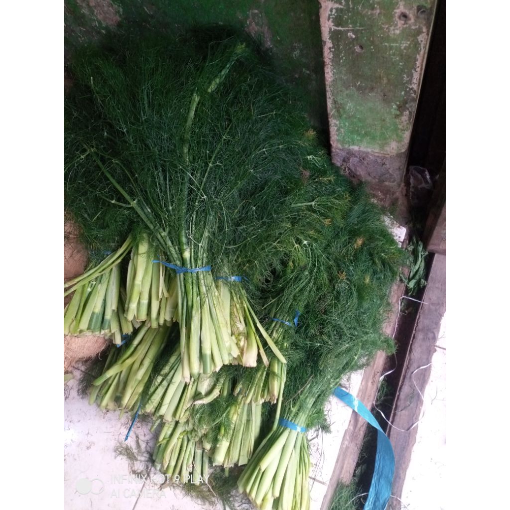 

daun adas segar/adas sayur satu iket 10rb