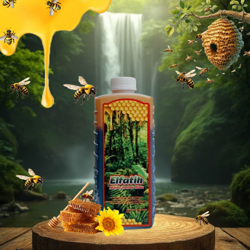 

Madu Hutan Liar SUPER madu Sumatra Asli. 100% murni dari lebah liar ( bukan ternakan ) EL FATIH