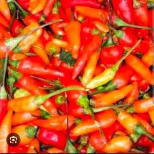 

cabe rawit merah 50 gr