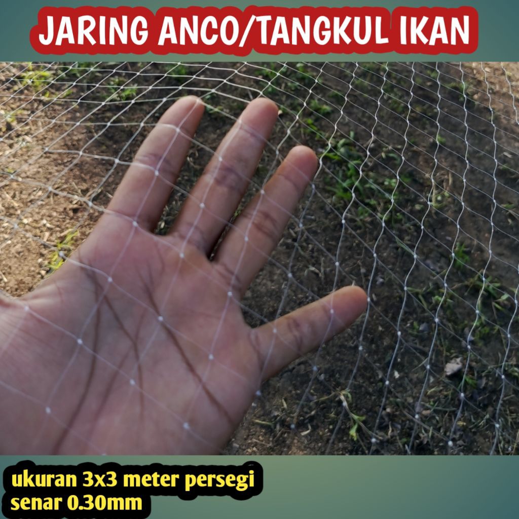 jaring anco tangkul ikan ukuran 3x3 meter persegi mata jaring 2 inchi