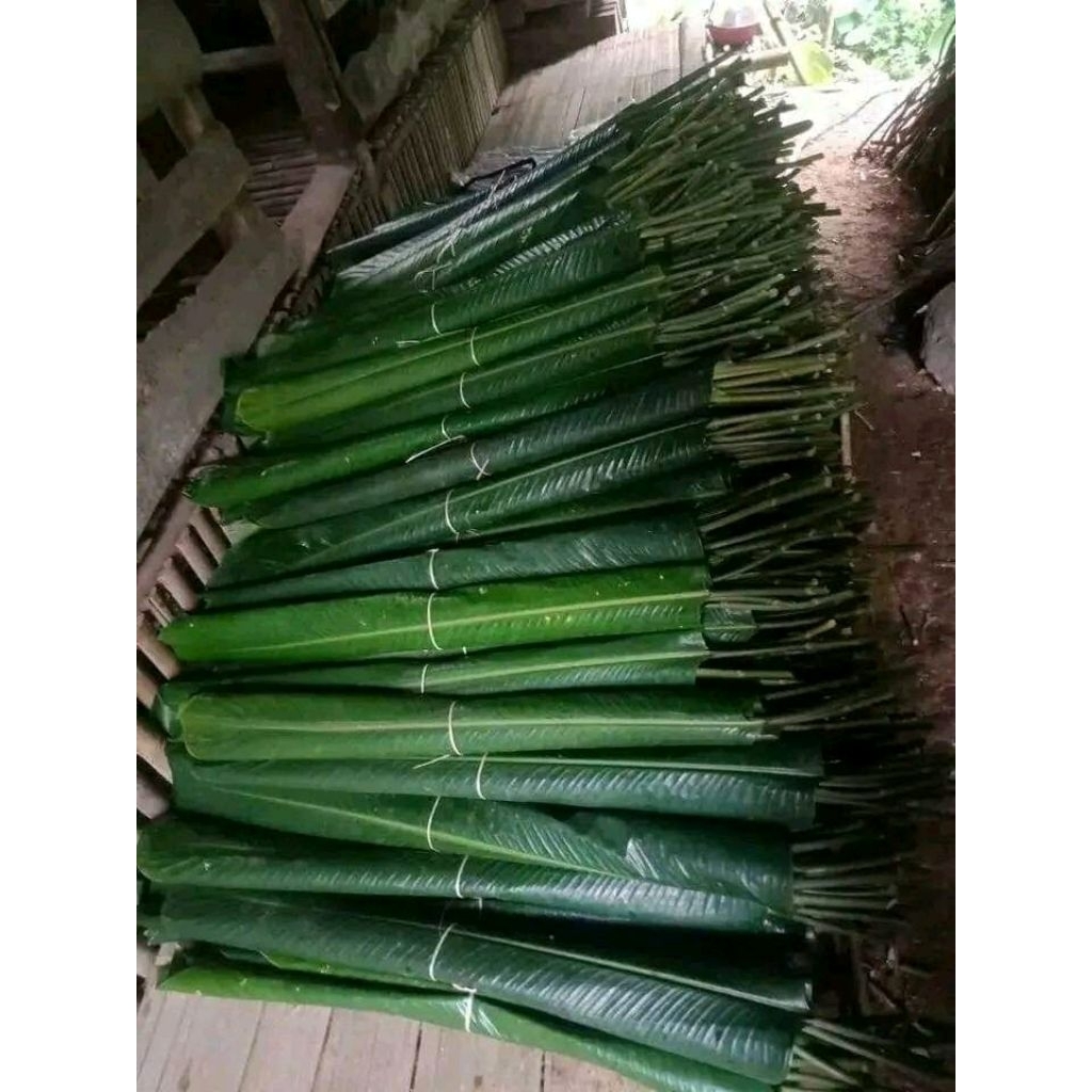 

100>10 lmbr daun patat bungkus doclang /lontong /pepes ikan/daging/ freshh dadakan