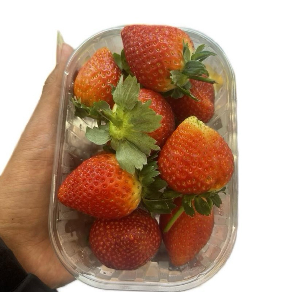 

Strawberry All Season | Strawberry All Natural 250gram