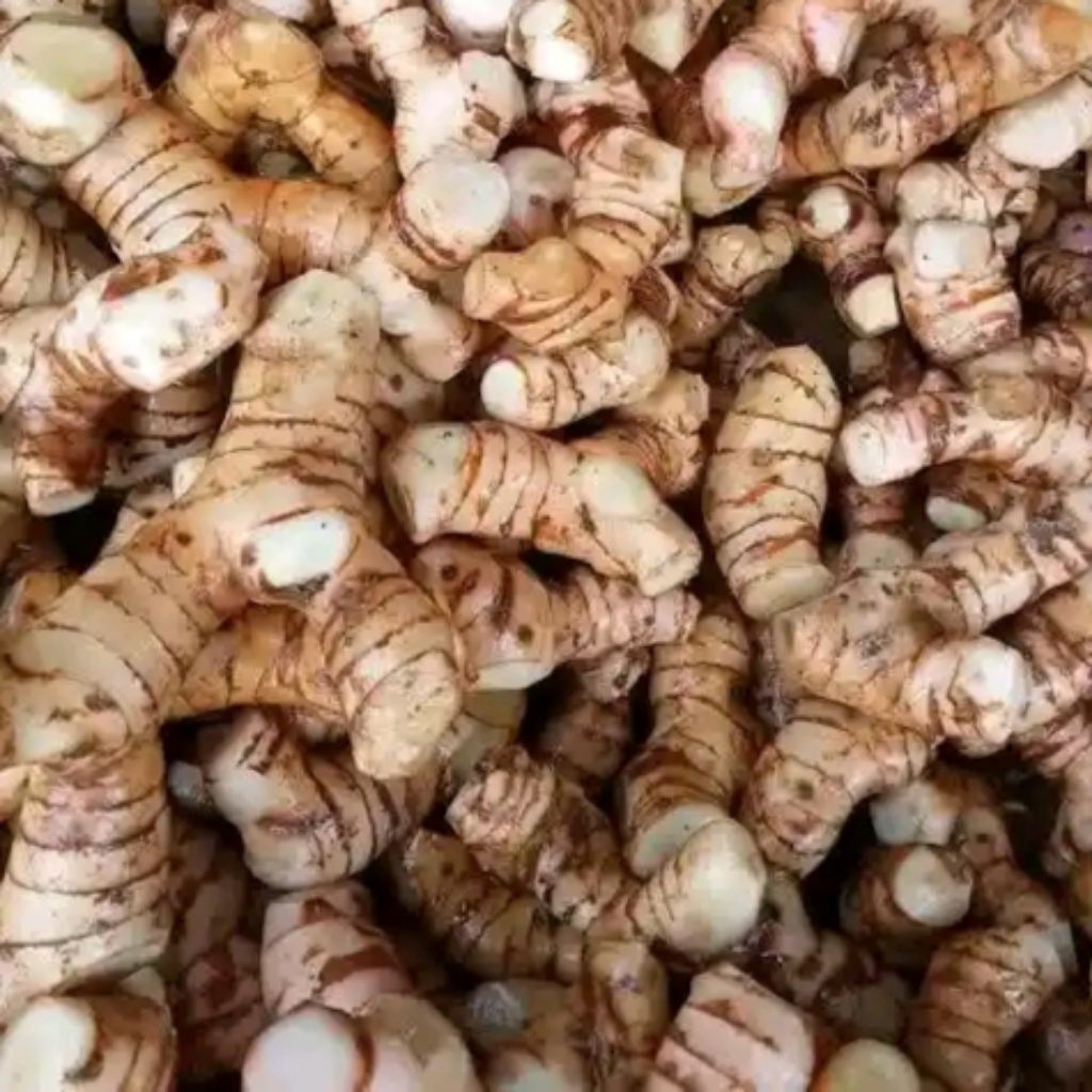 

Laos putih | lengkuas putih 1kg