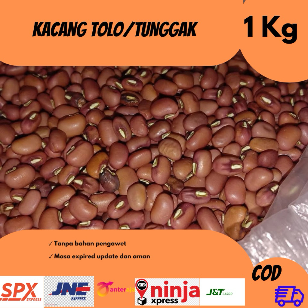 

KACANG TOLO / TUNGGAK 1 KG