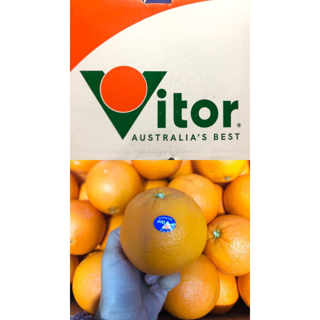 

Jeruk Navel Australia Vitor /kg