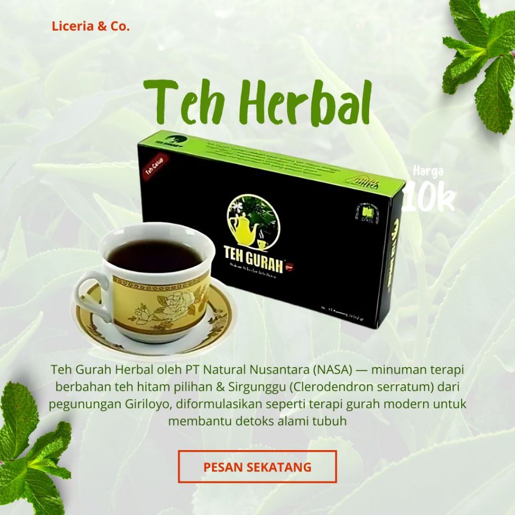 

Herbal Teh Gurah Terapi – Detoks Saluran Napas, Lunasi Lendir Asma & Batuk, Support Imunitas