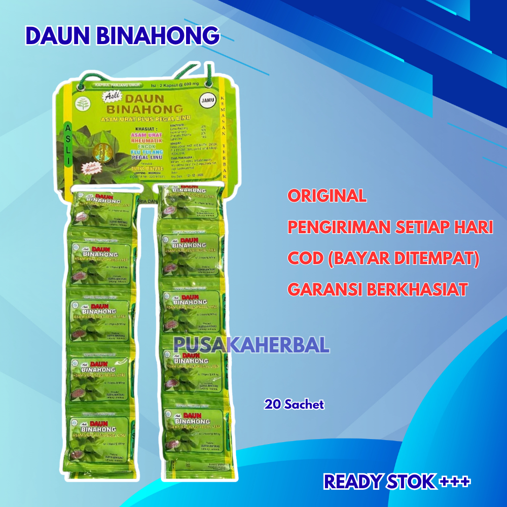 

Daun Binahong Renceng Original 100%