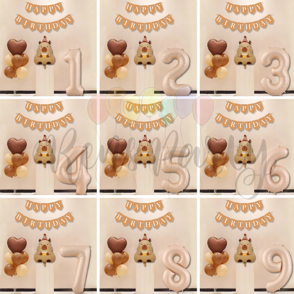 PAKET DEKORASI ULANG TAHUN ANAK / DEWASA CAPYBARA STANDING