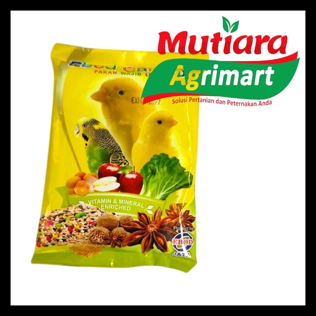 EBOD CANARY / PAKAN BURUNG KENARI / PAKAN BURUNG GACOR