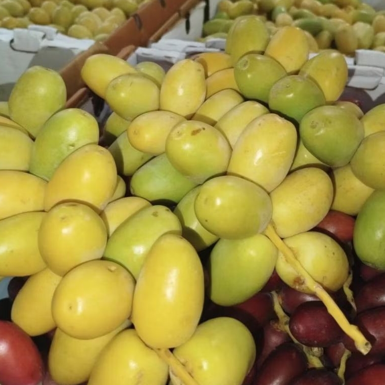 

Ready 100gr KURMA MUDA SEGAR