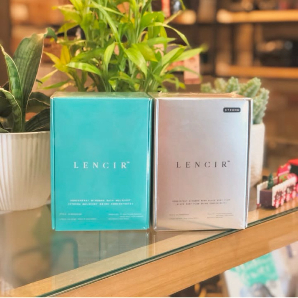 LENCIR ORIGINAL & LENCIR STRONG (PERBOX)