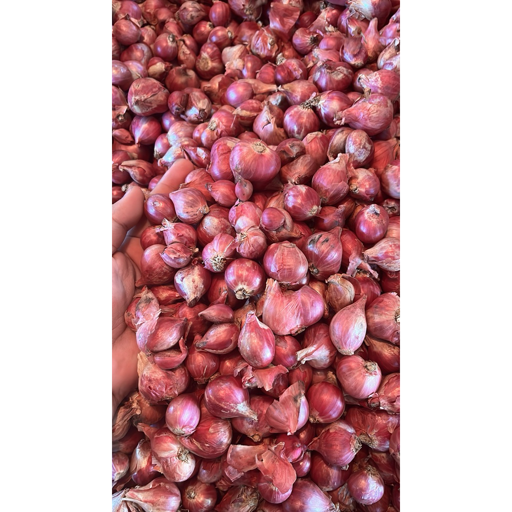 

BAWANG MERAH 1 KILO 30ribuan