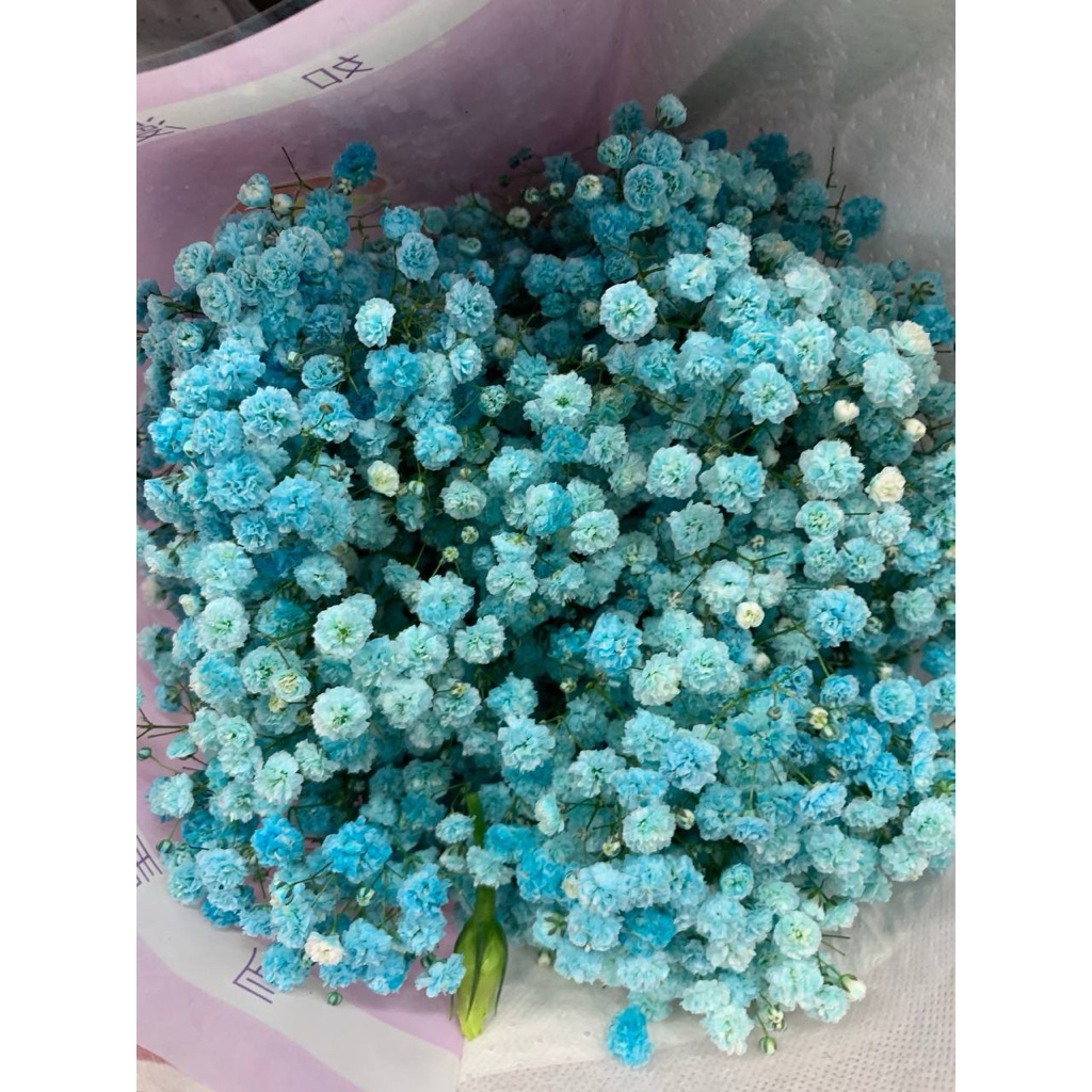 

Bany Breath Kering 100gr