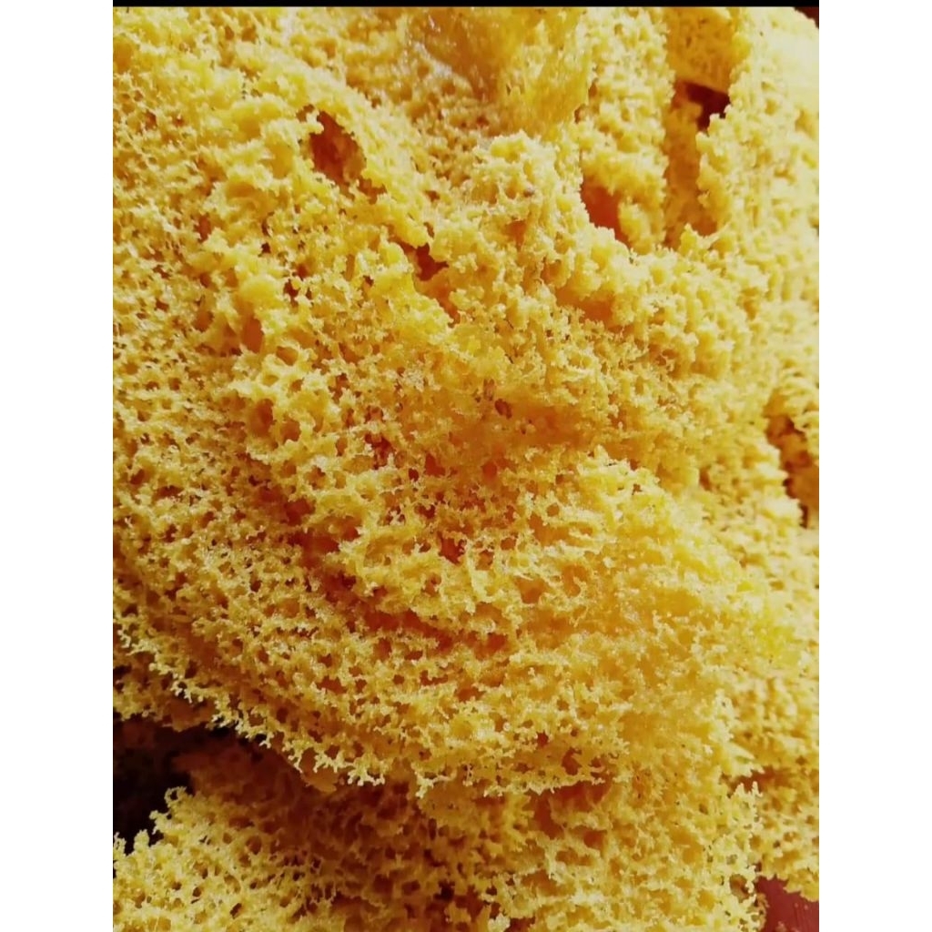 

Kremes|kremes ayam|kremes ayam original 300gr
