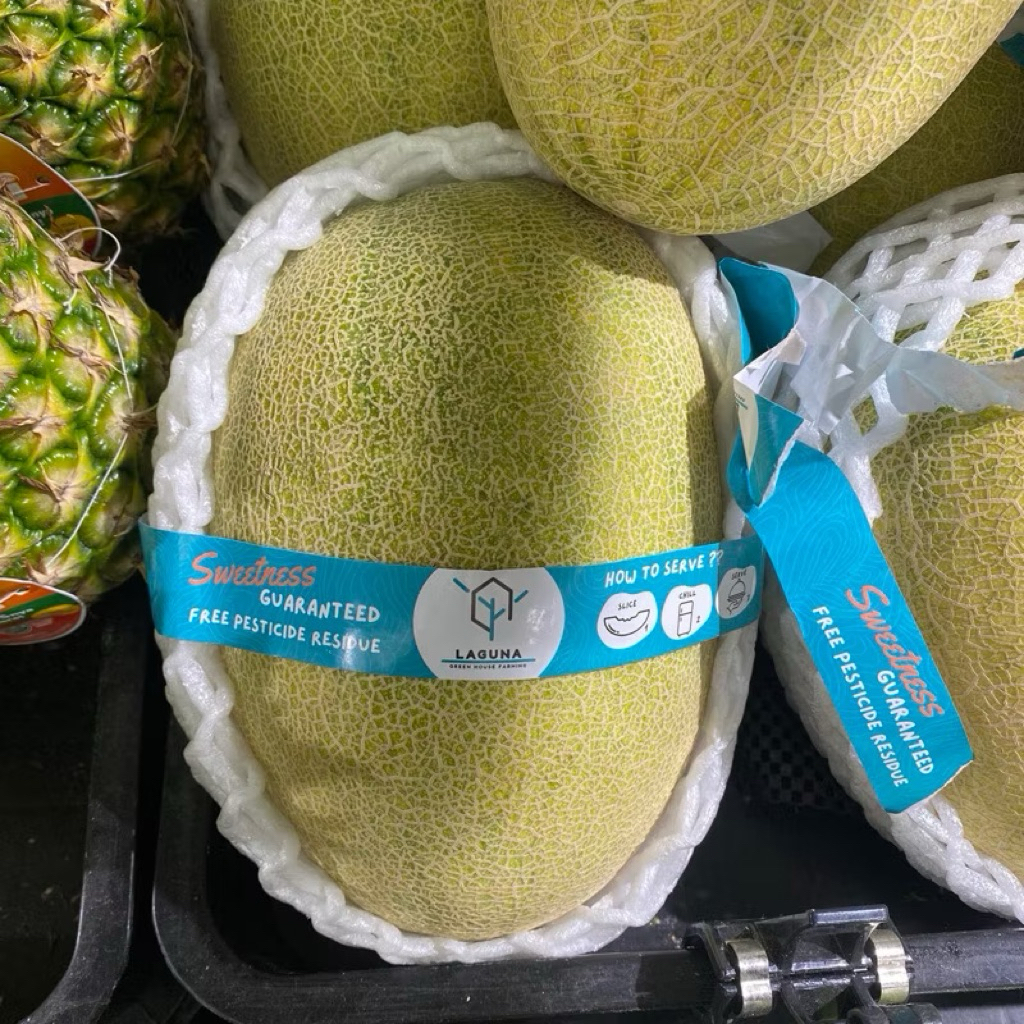 

Melok King Hamiqua Manis Fresh | Pcs