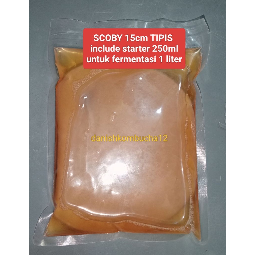 

Bibit SCOBY kombucha 15cm TIPIS/jamur kombucha /scoby diameter 15cm/scoby kombucha/starter kombucha/jamur dipo/ include starter 250ml danishkombucha12