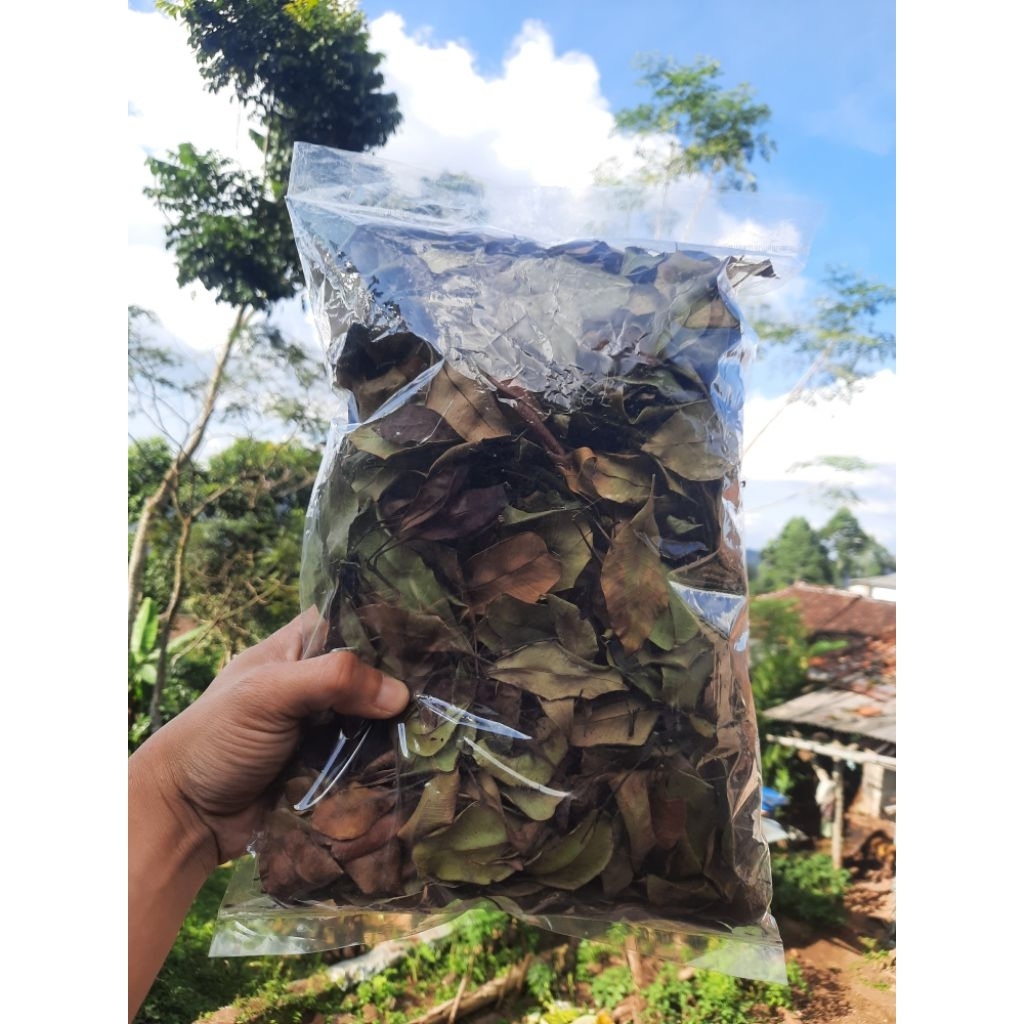 

Daun Cengkeh Kering | 100 Gram Bumbu Dapur Ekonomis